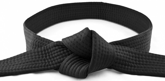 SEALFIT BLOG: Earn Your Black Belt in Emotional Power, The Four Key